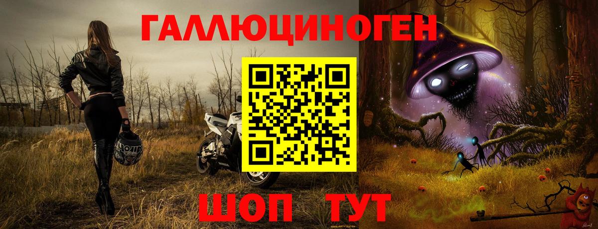Галлюциногенные грибы прущие грибы  Вход с VPN  Кашира  Галлюциногенные грибы Psilocybine cubensis 